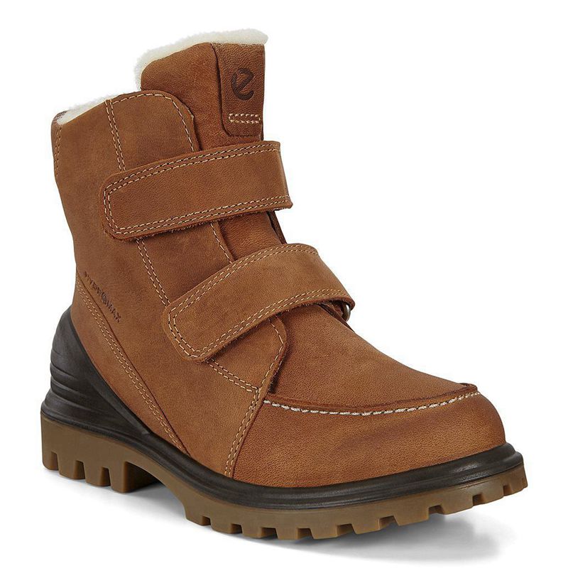 Botas Ecco Tredtray K Para Niños,Marrones,362019-DJE